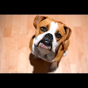 Meet your Posher, Justin